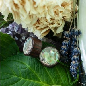 Abalone Shell and Wood Plugs